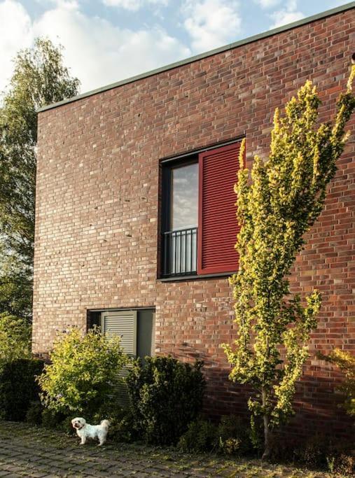 Schickes Wohnstudio Mit Garten Am Aasee Ibbenbueren Exterior foto